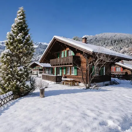 Cozy Traditional Chalet, Stunning Mountain Views Шале Гриндельвальд