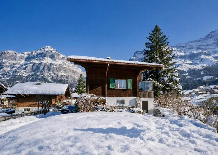 Cozy Traditional Chalet, Stunning Mountain Views * Grindelwald